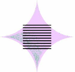 populus branding element 2